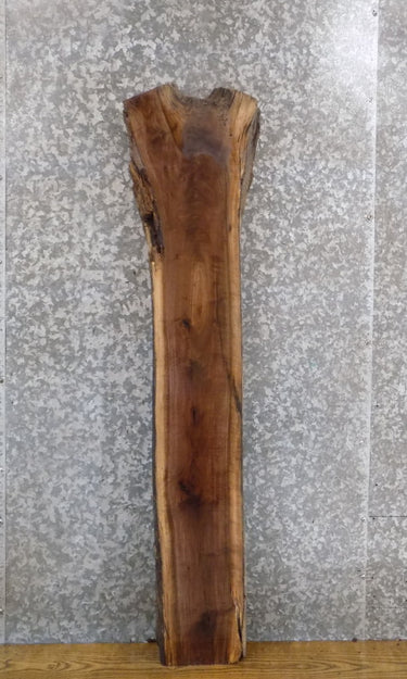 Rustic Live Edge Black Walnut Accent/Side Table Top Wood Slab 1401